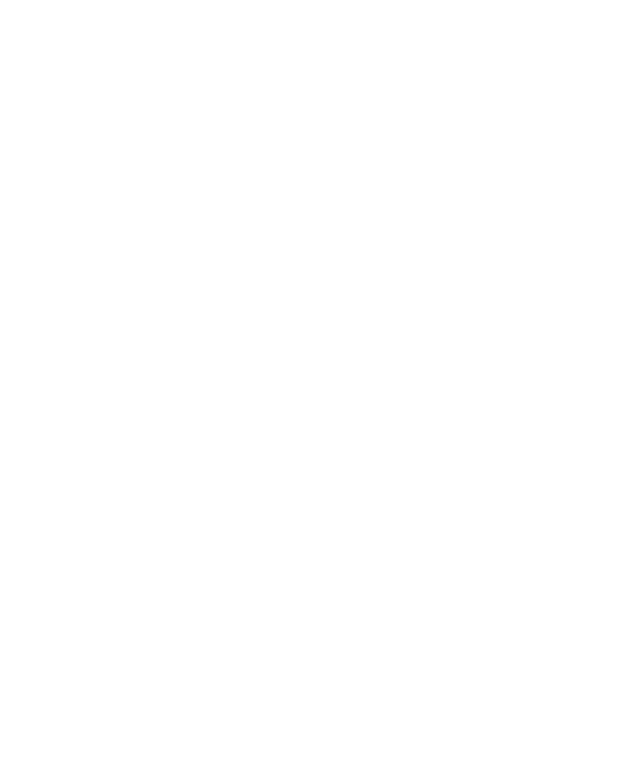 IC Gruppen Security
